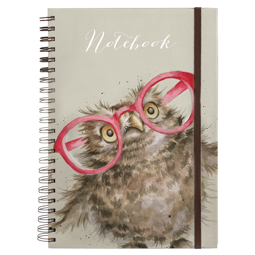 Spectacular Large Notebook (Owl) image number null